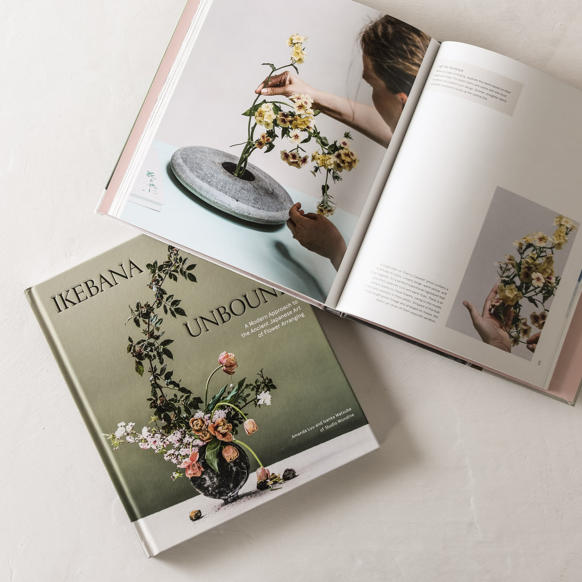 Ikebana Unbound - Shop Verdant