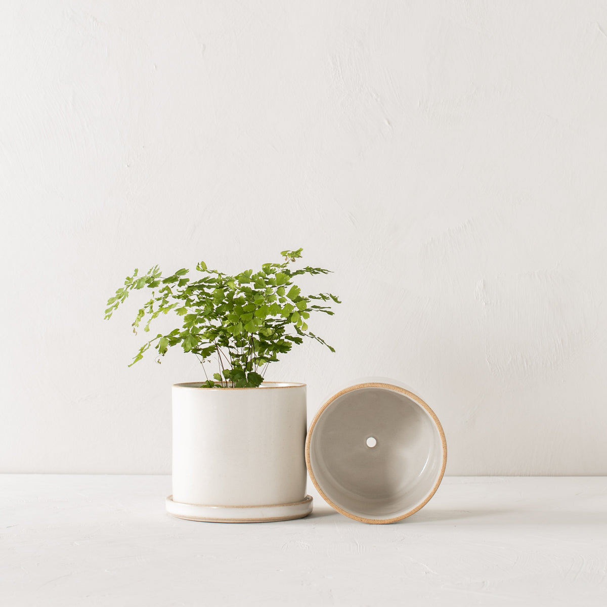 nesta ceramic pot planter Minimal Ceramic Planter - 6 inch