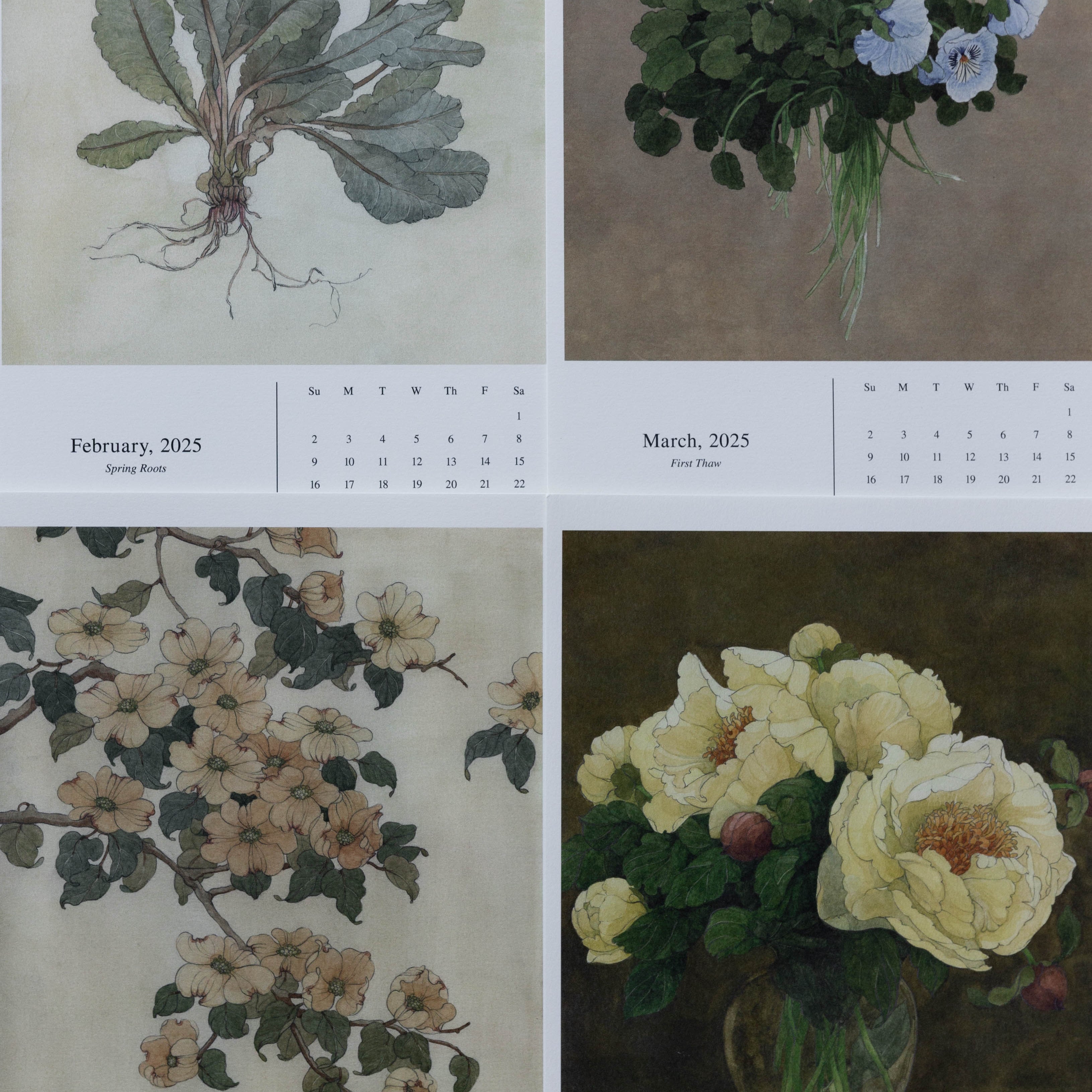 2025 Fine Art Calendar | Carleigh Courey