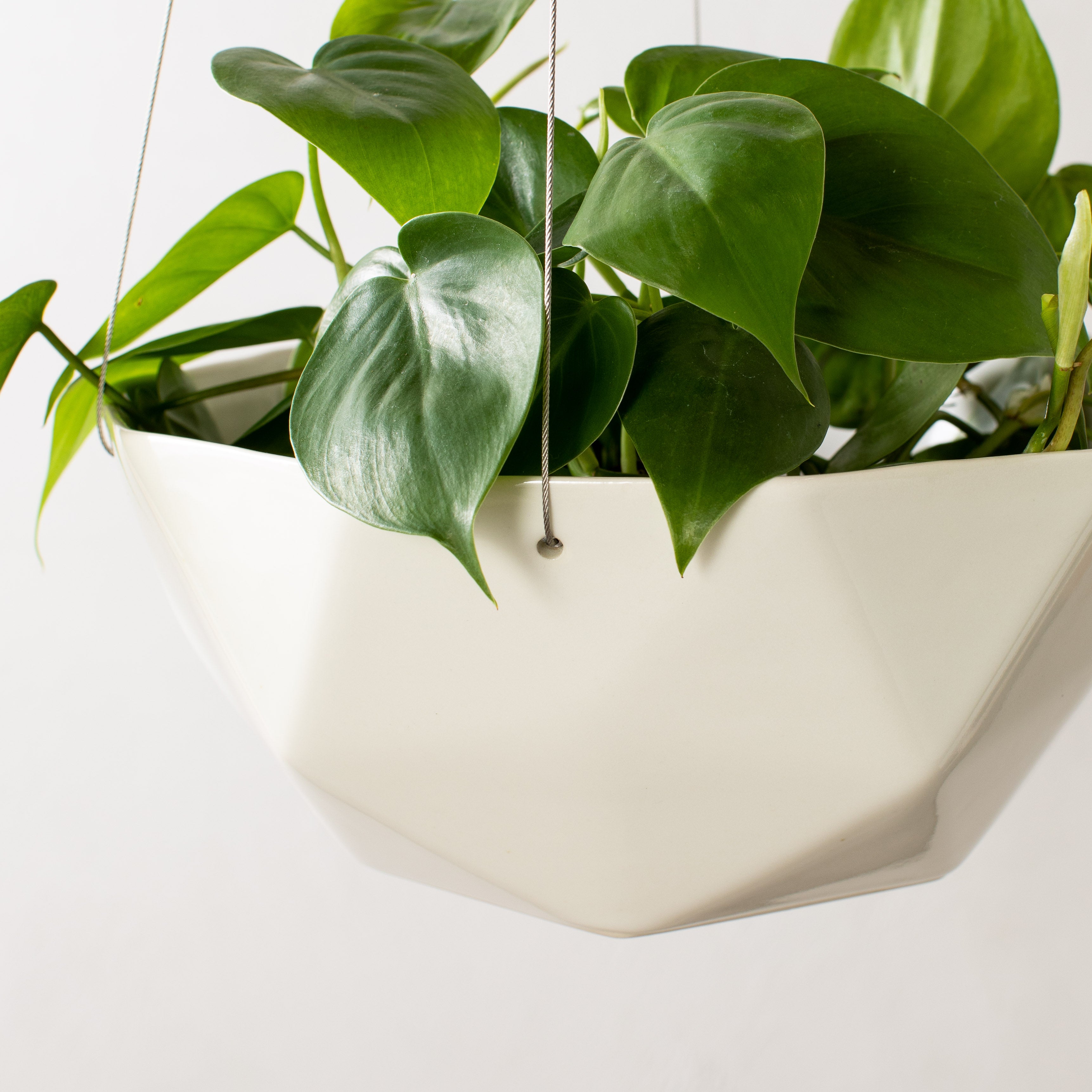 Geometric Hanging Planter | Porcelain