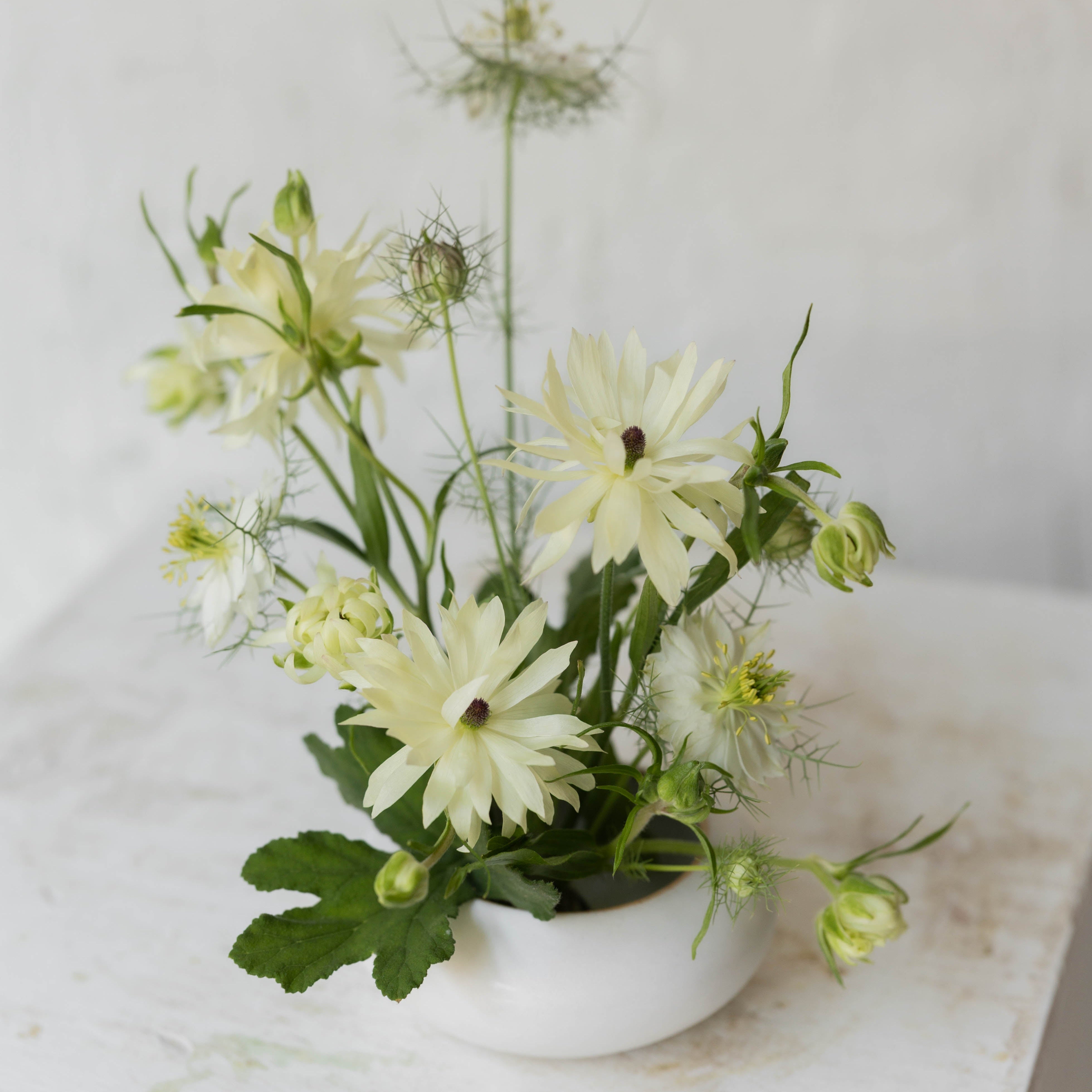 Ikebana No. 1 | Arrangement