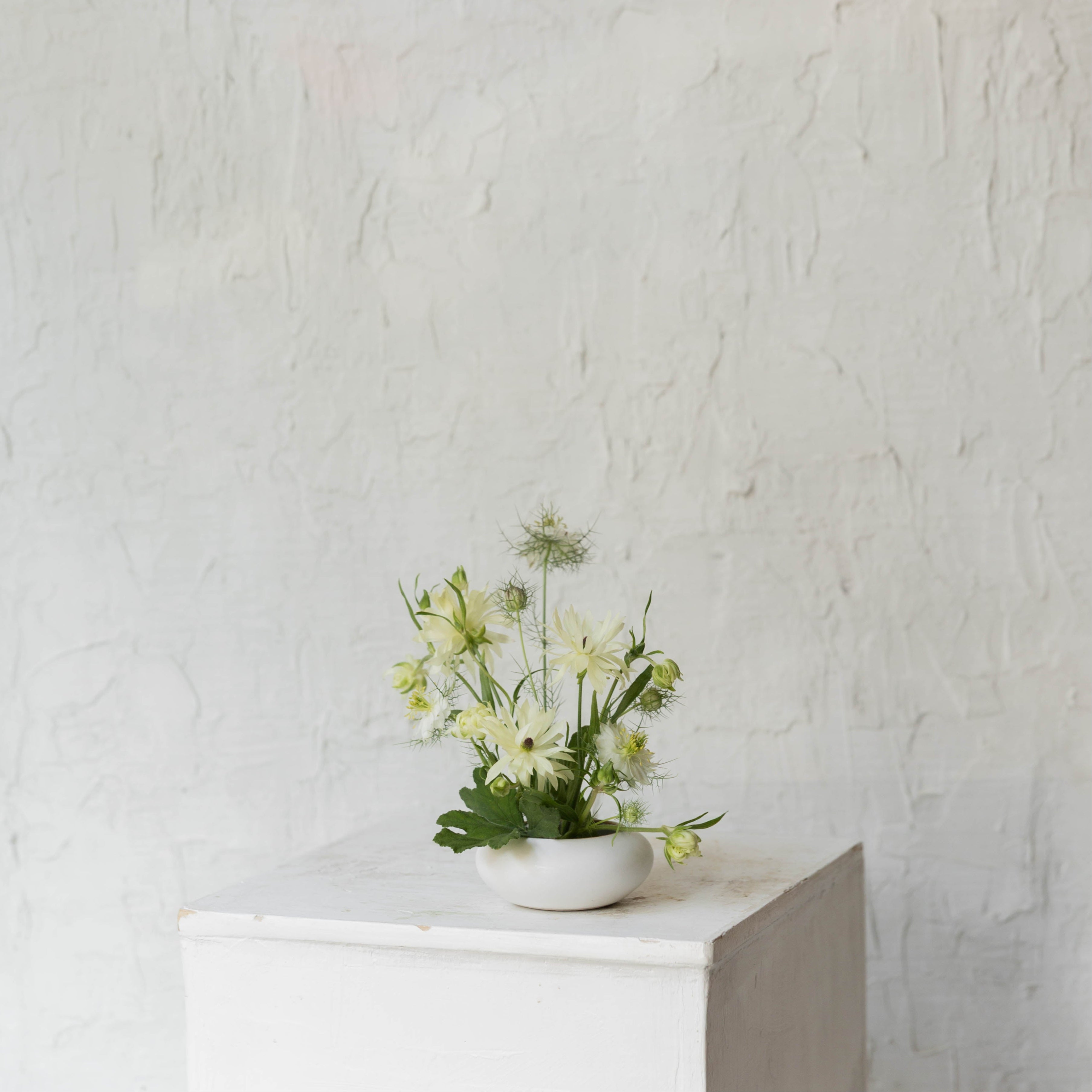 Ikebana No. 1 | Arrangement
