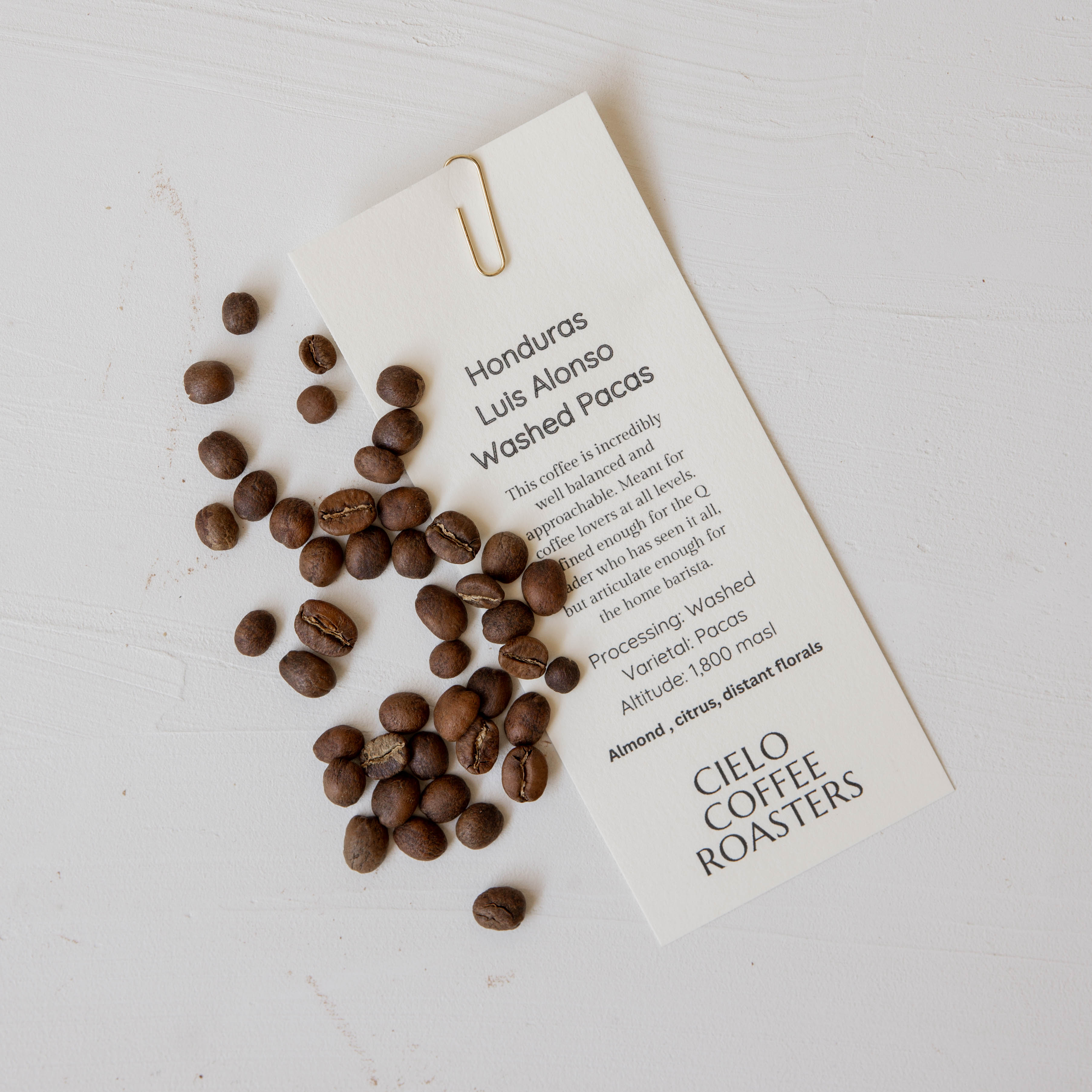 10 oz Whole Bean Coffee
