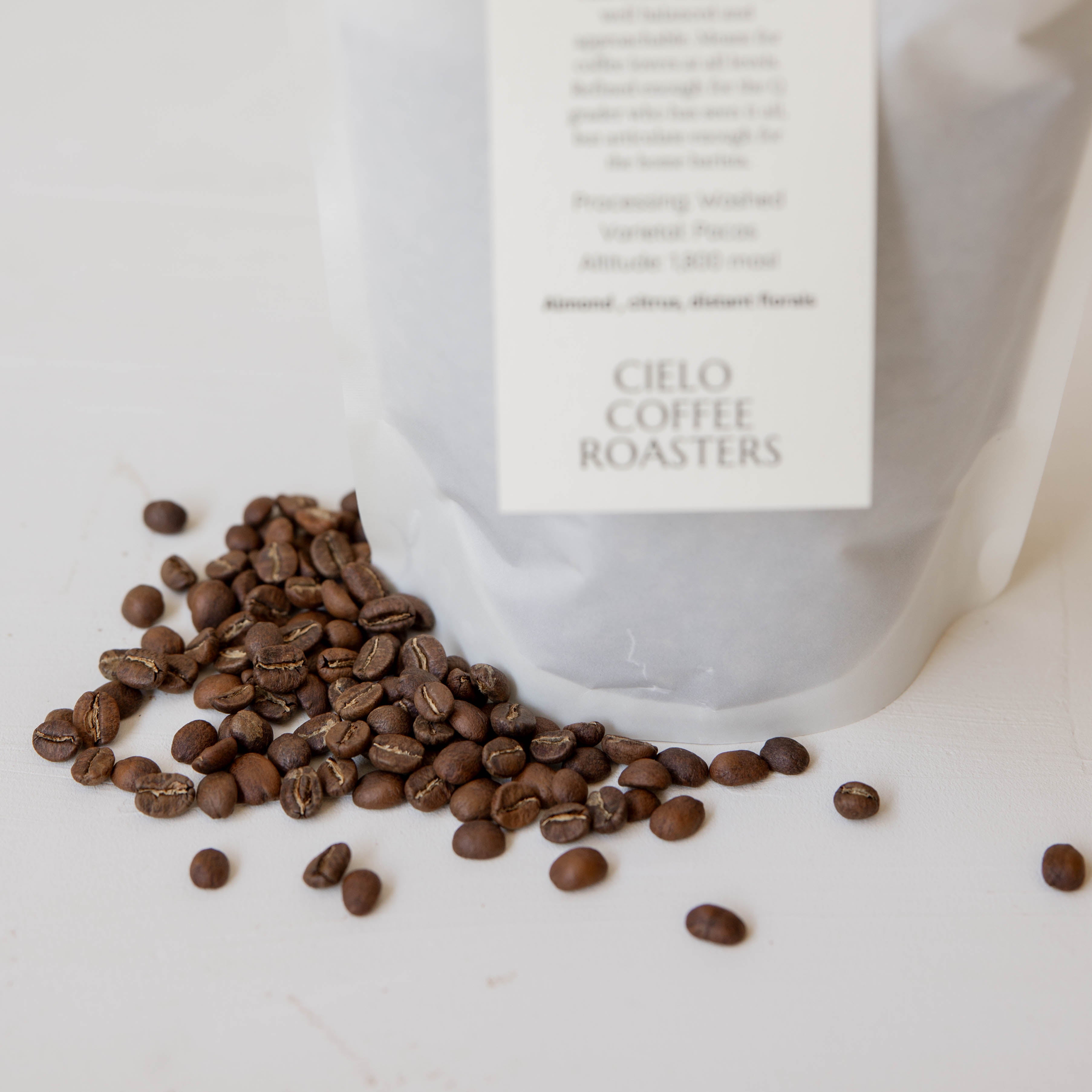 10 oz Whole Bean Coffee