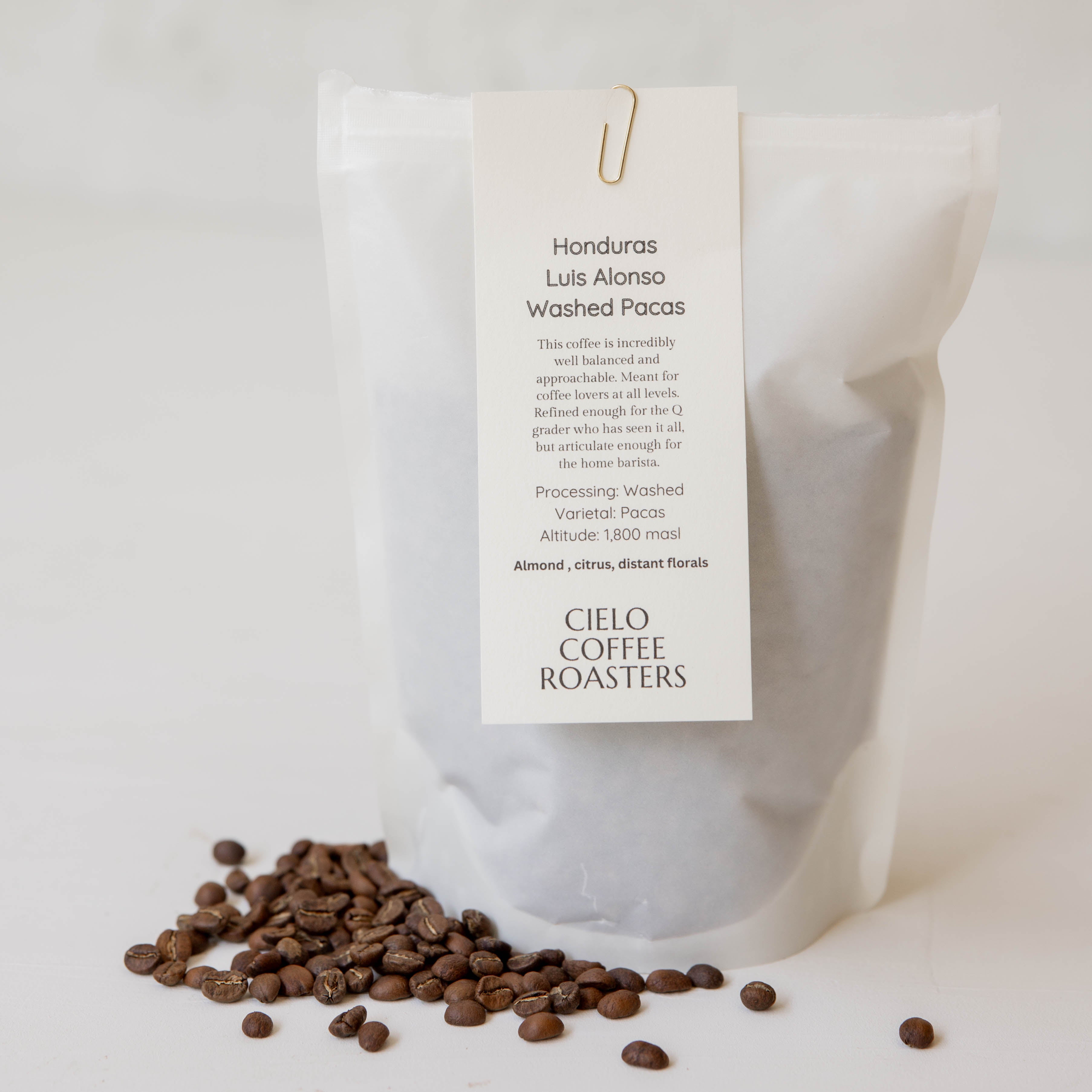 10 oz Whole Bean Coffee
