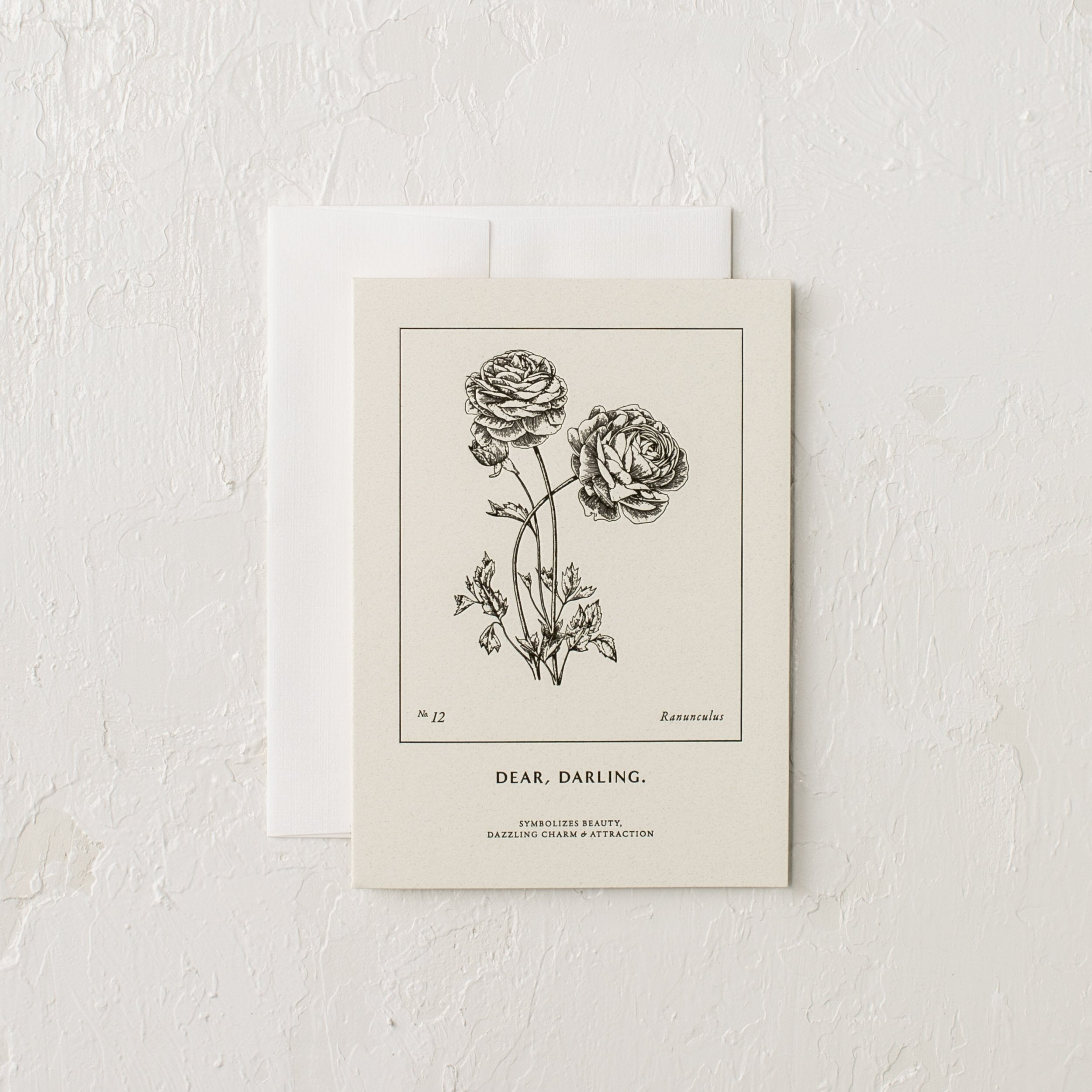 Letter-pressed botanical greeting card. Letter pressed illustration of a Ranunculus. "Dear, Darling." - "Symbolizes Beauty, Dazzling Charm and Attraction" Shop Verdant Kansas City.  