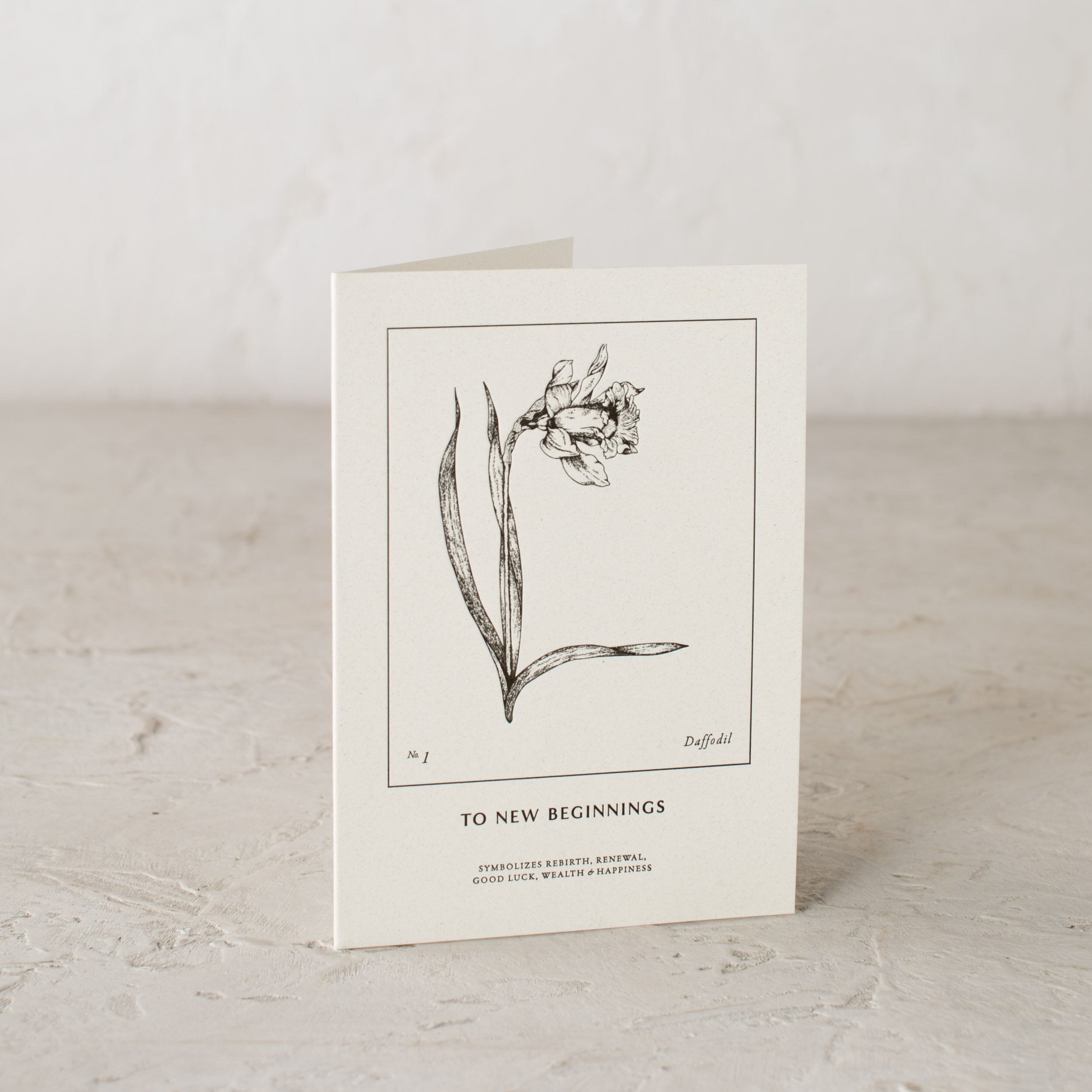 Botanical letter pressed illustration of a Daffodils - To New Beginnings - Symbolizes Rebirth, Renewal, Good Luck, Wealth and Happiness. Designed and sold by Shop Verdant Kansas City Gift Store.