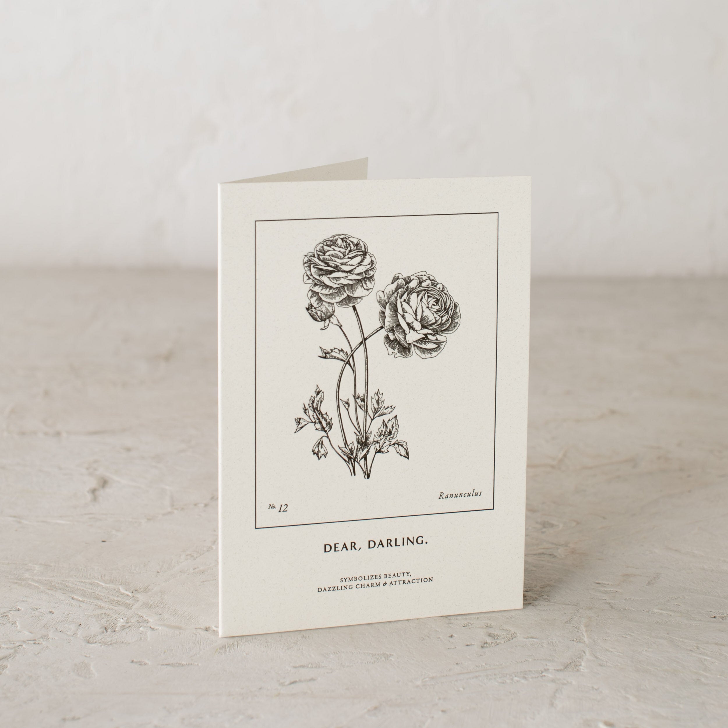 Letter-pressed botanical greeting card. Letter pressed illustration of a Ranunculus. "Dear, Darling." - "Symbolizes Beauty, Dazzling Charm and Attraction" Shop Verdant Kansas City.