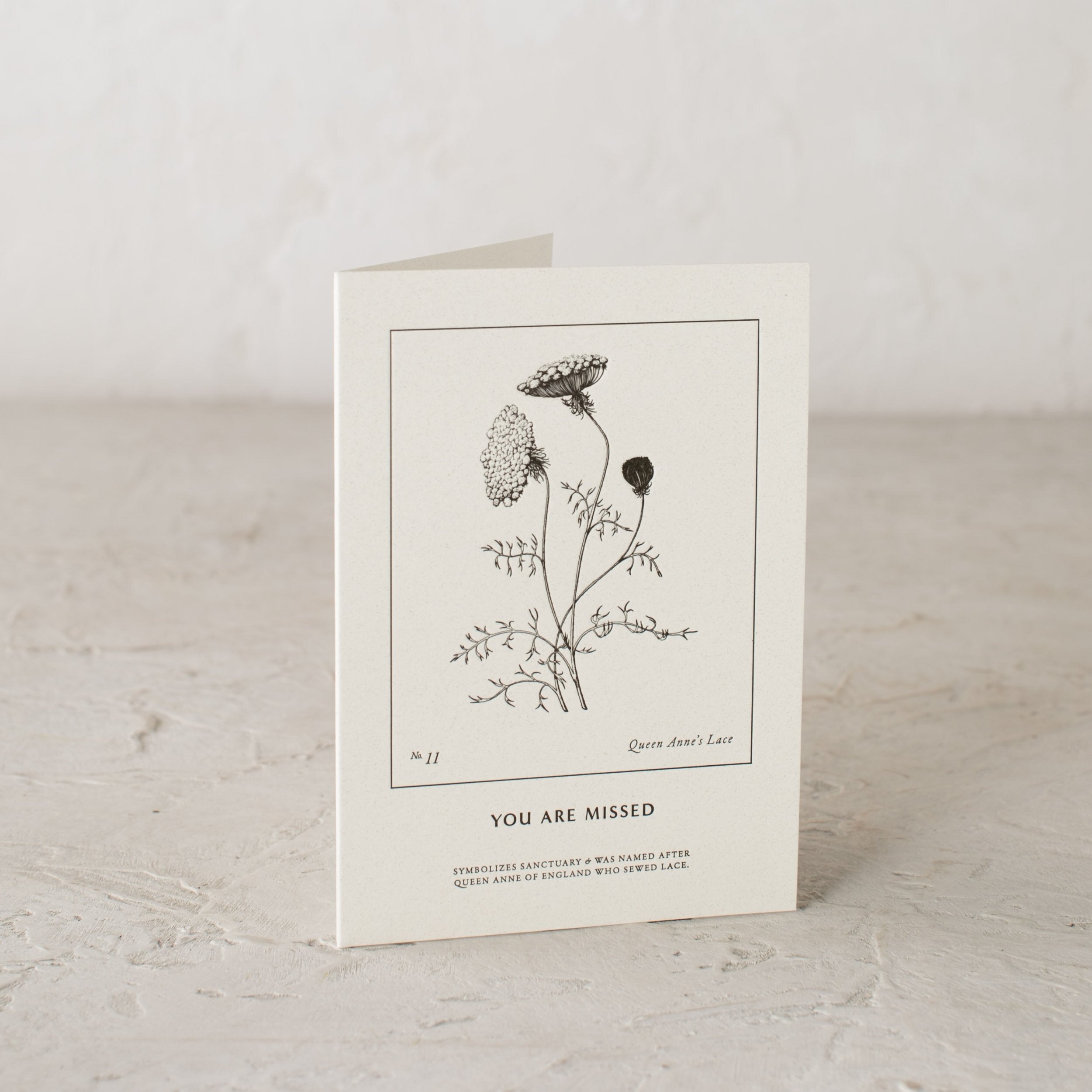 Letter pressed botanical cards - queen anne's lace botanical illustration - You Are Missed - Symbolizes sanctuary and was named after queen Anne of England who sewed lace. Letter pressed cards designed and sold by Shop Verdant, Kansas City gift store. 