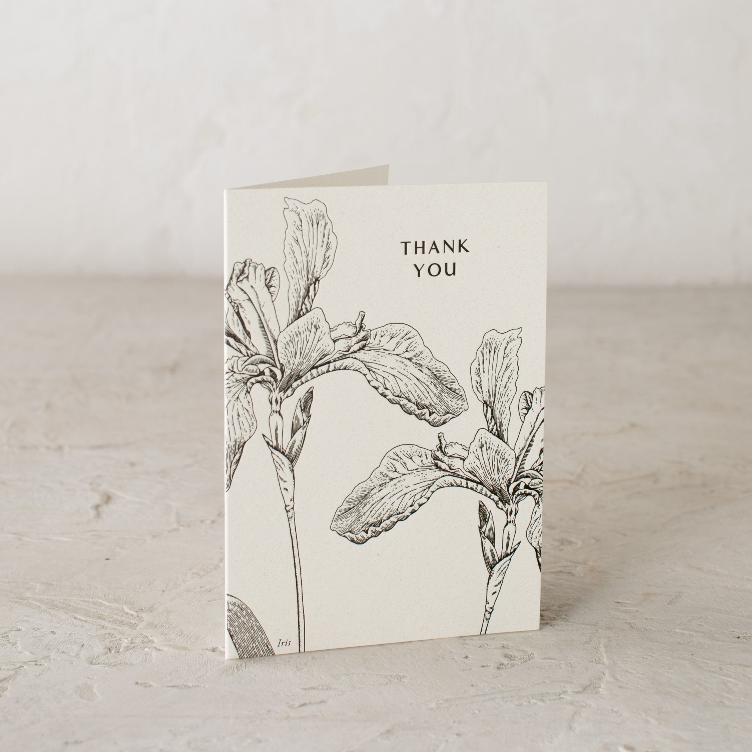 Letter pressed greeting card with a botanical illustrated Iris, "Thank You" - Designed and sold by Verdant, Kansas City.
