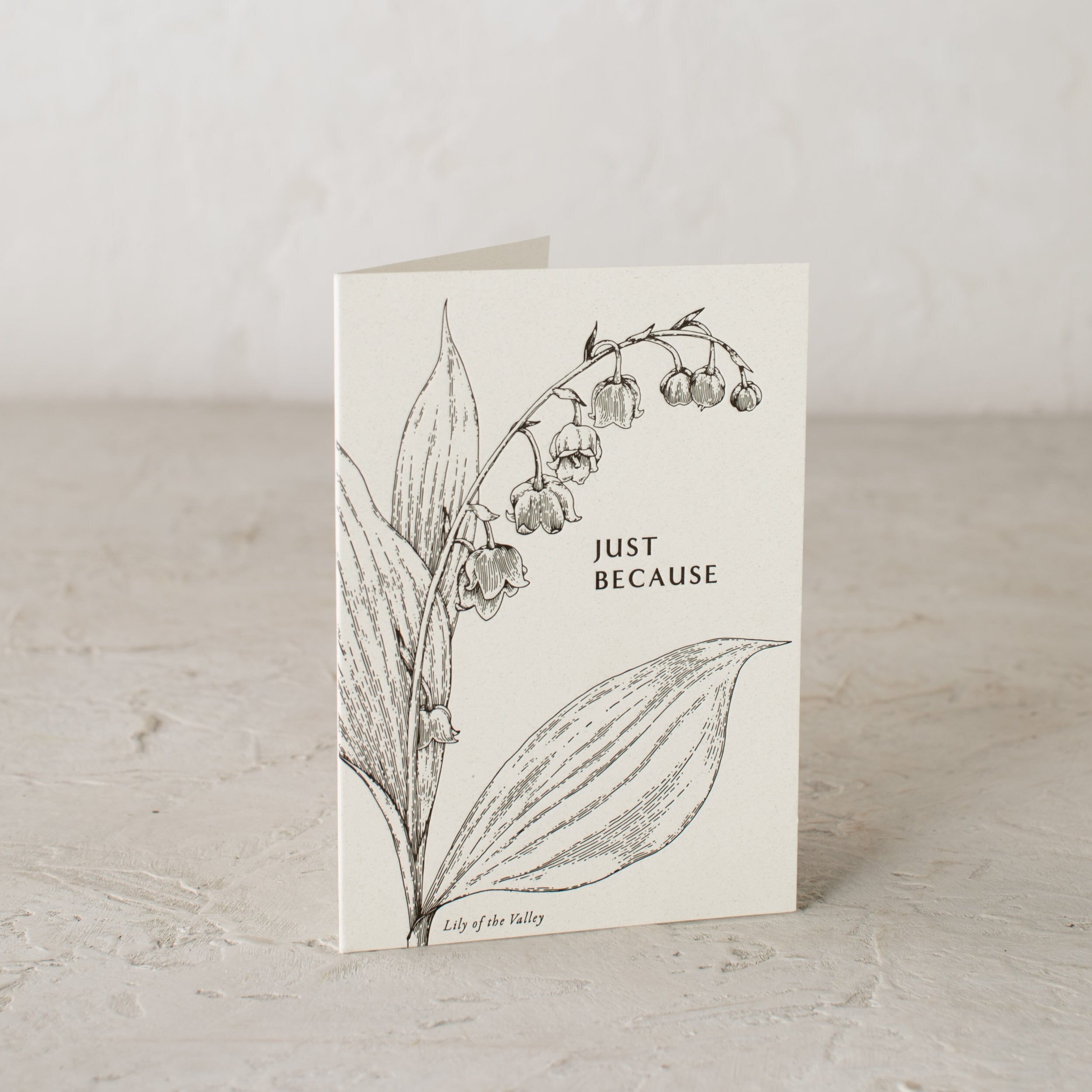 Letter-pressed greeting card with botanical illustration of a Lily of the valley. Text reads "Just Because". Designed and sold by Shop Verdant, Kansas City gift store.
