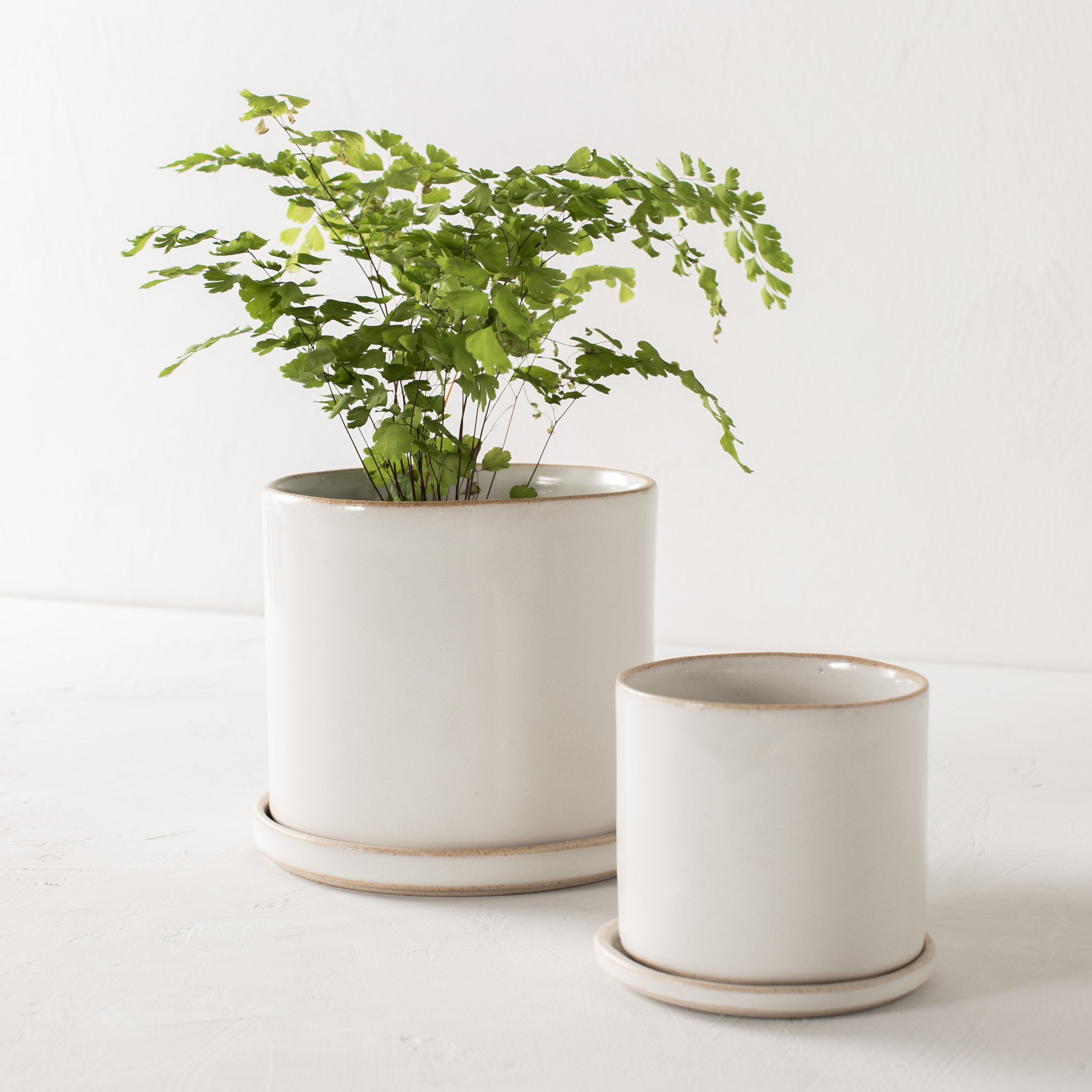 Two minimal ceramic planter close up. One larger and smaller, planters have an exposed stoneware rim and base. Larger planter has a plant inside. Handmade ceramic planter, designed by Convivial Production, sold by Shop Verdant, Kansas City, Mo plant store.