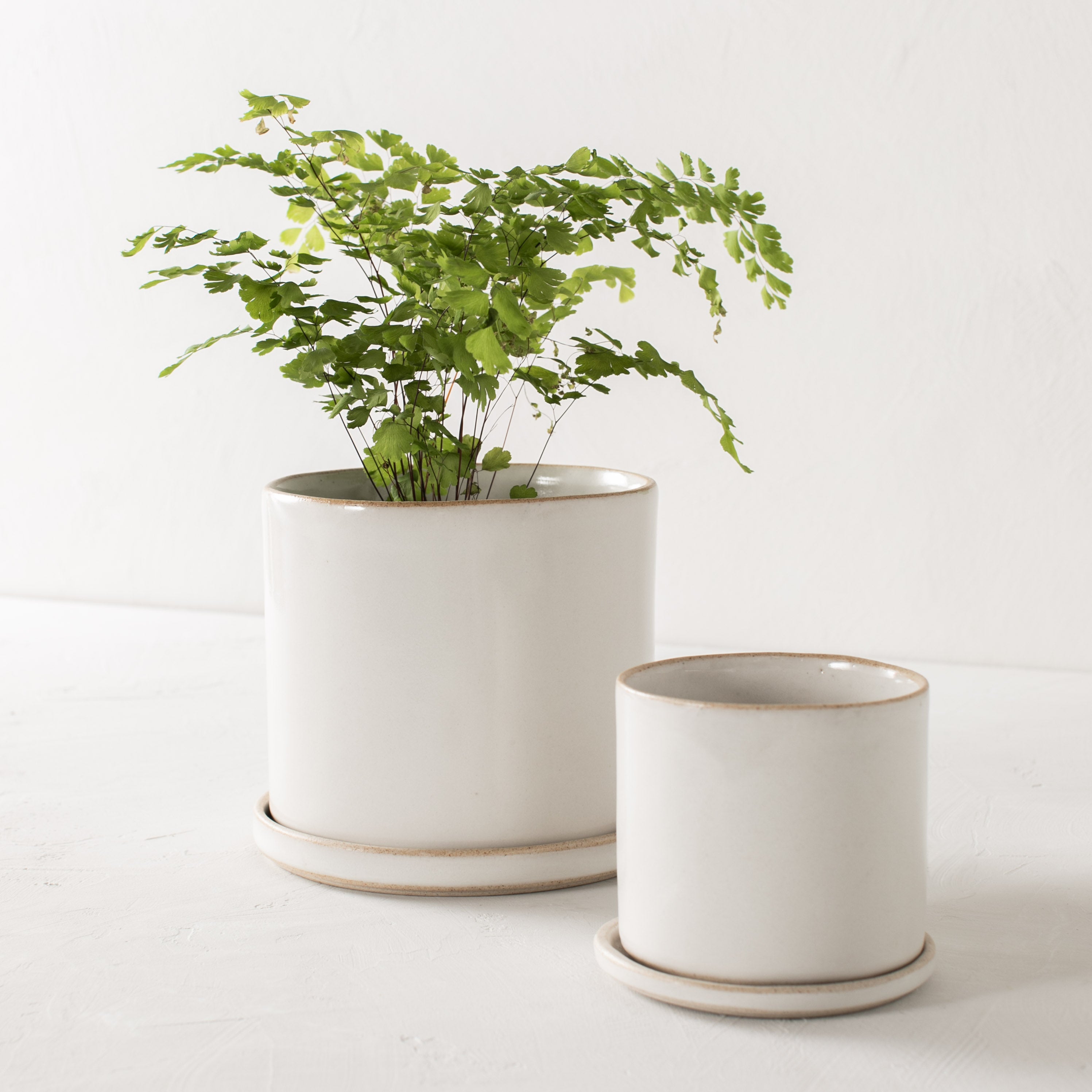 ceramic pot planter Minimal Ceramic Planter - 6 inch
