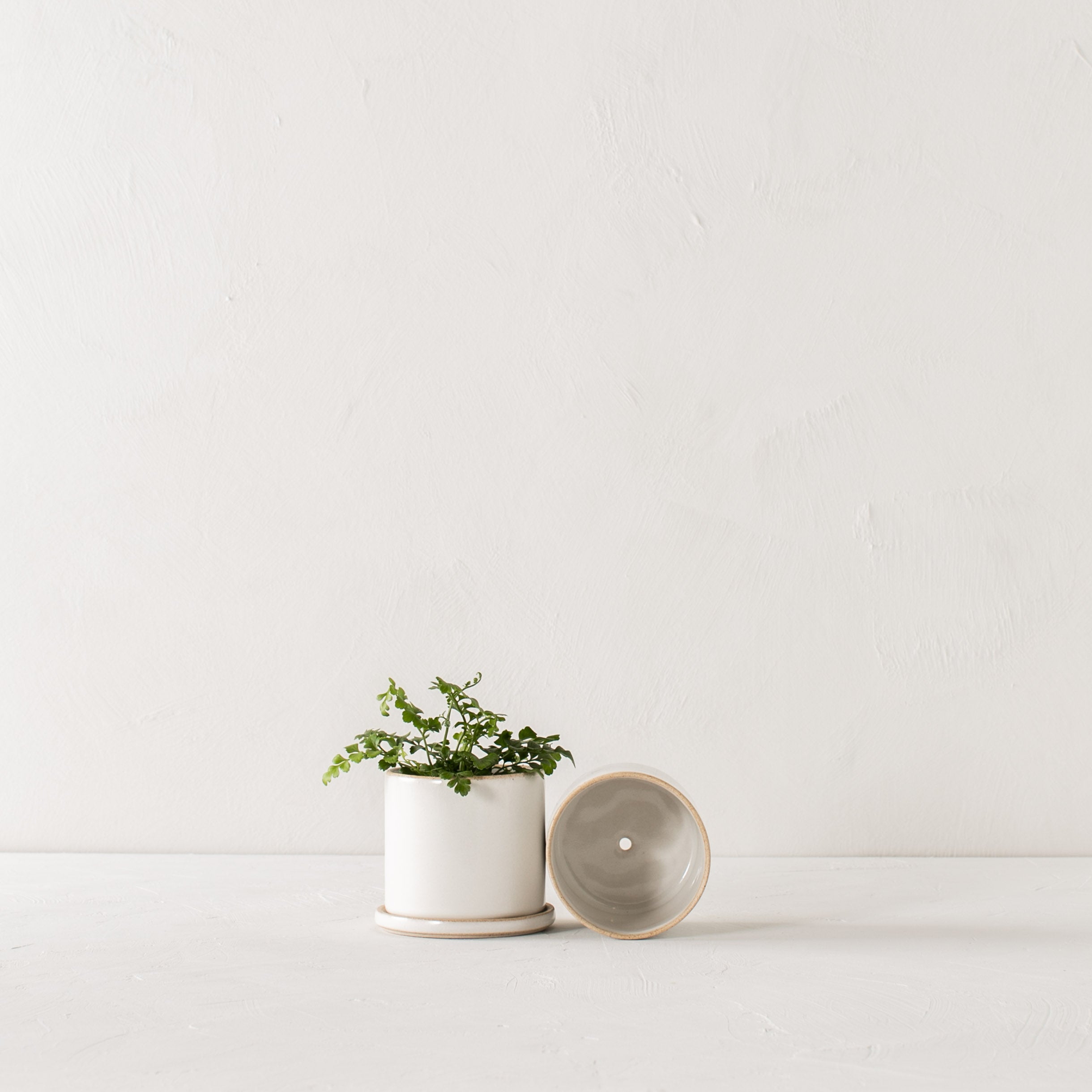 Two minimal white ceramic planters side by side. 4 inch planter and bottom dish stood upright, the other laying on its side to show off the drainage hole. Handmade ceramic planter, designed by Convivial Production, sold by Shop Verdant, Kansas City, Mo plant store.