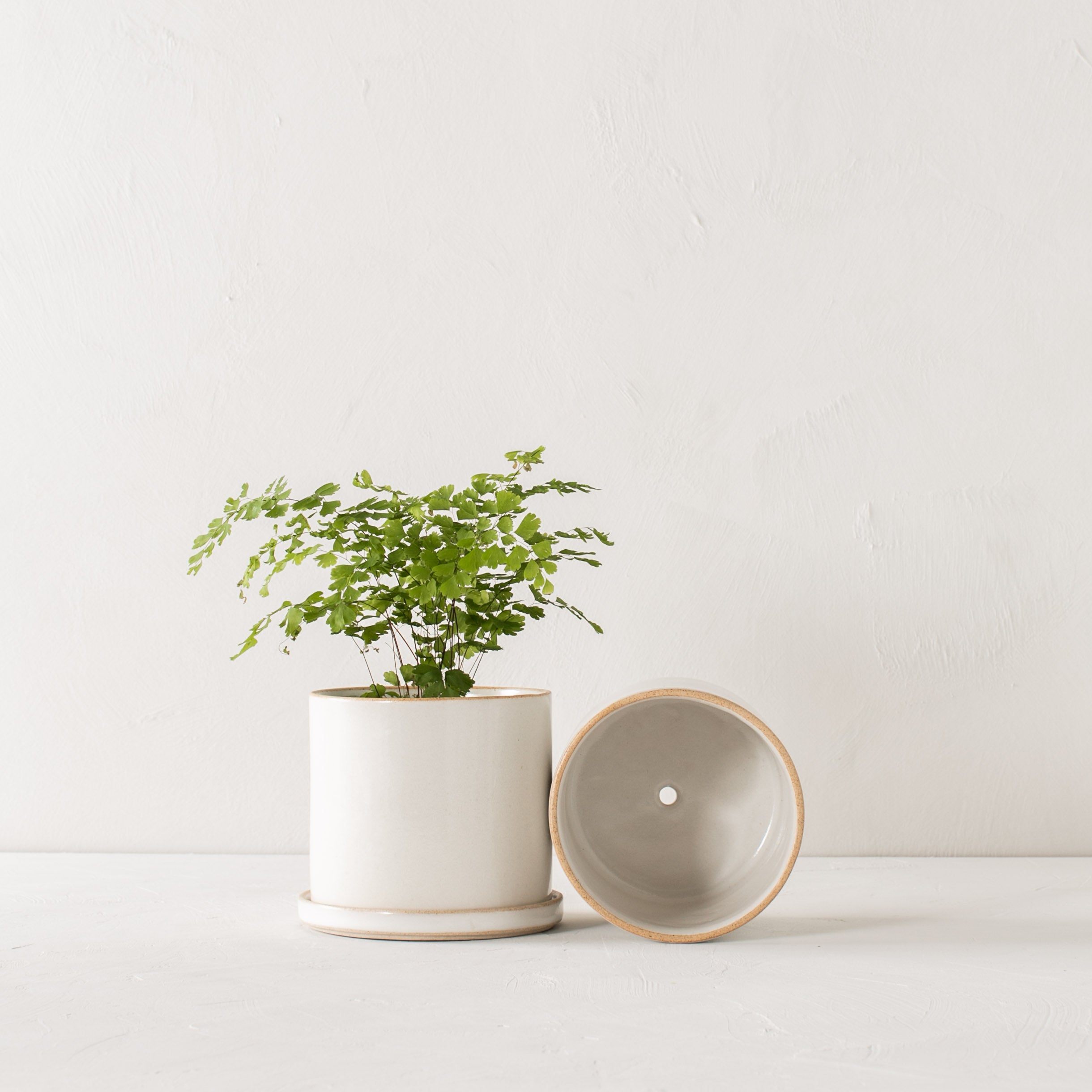 Two minimal white ceramic planters side by side. 6 inch planter and bottom dish stood upright, the other laying on its side to show off the drainage hole. Handmade ceramic planter, designed by Convivial Production, sold by Shop Verdant Kansas City, Mo plant store.