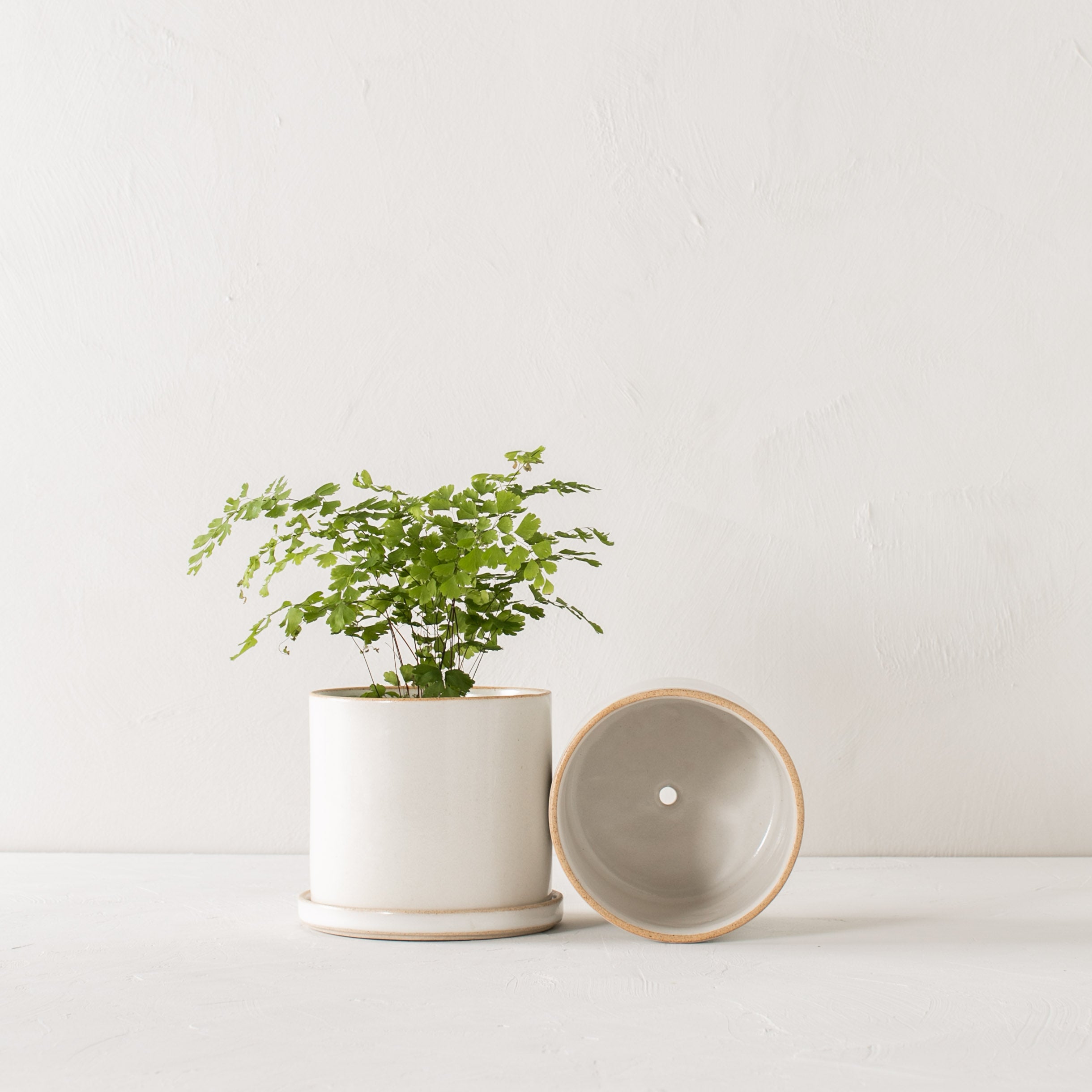 ceramic plant pots handmade Minimal Ceramic Planter - 6 inch