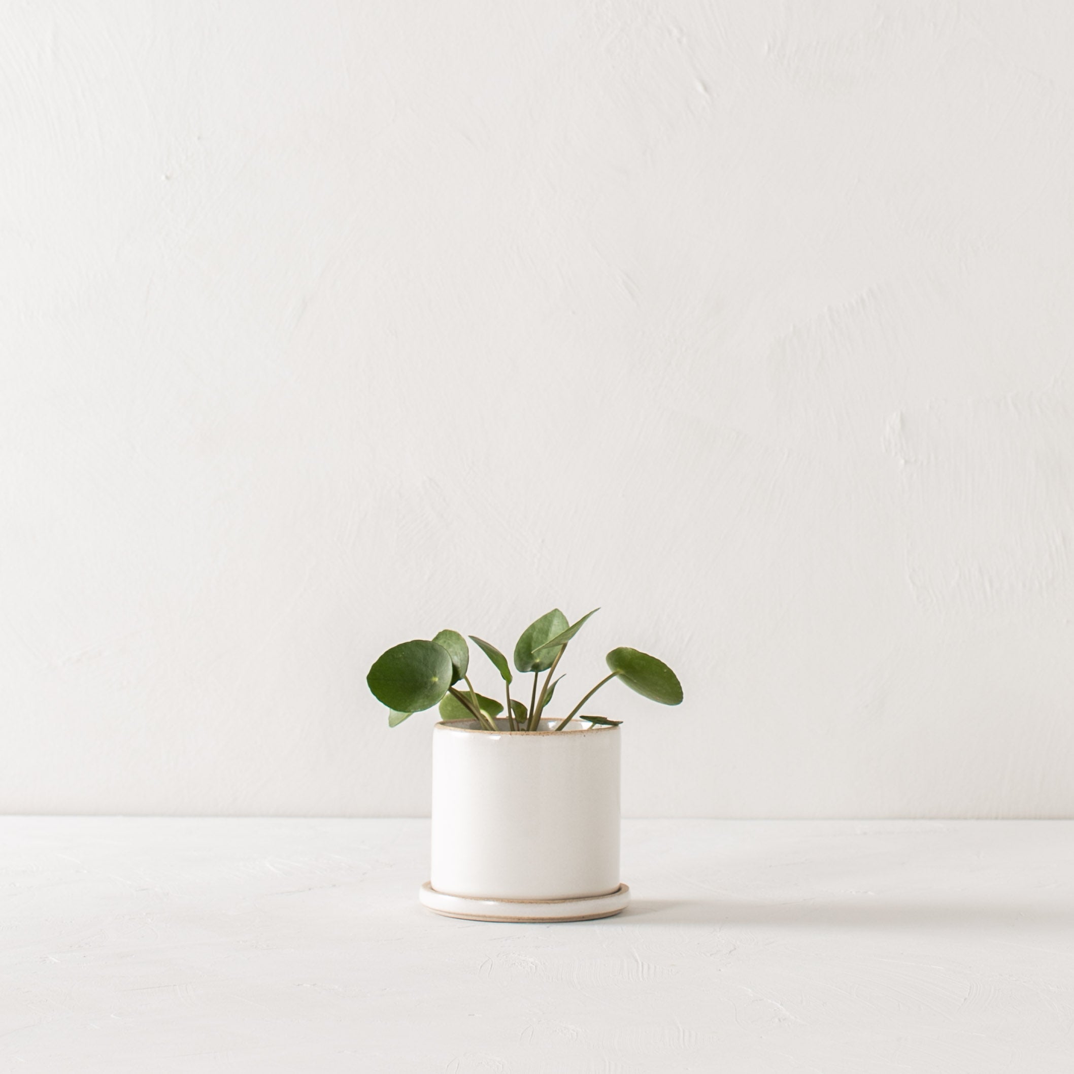 small white ceramic plant pots Minimal Ceramic Planter