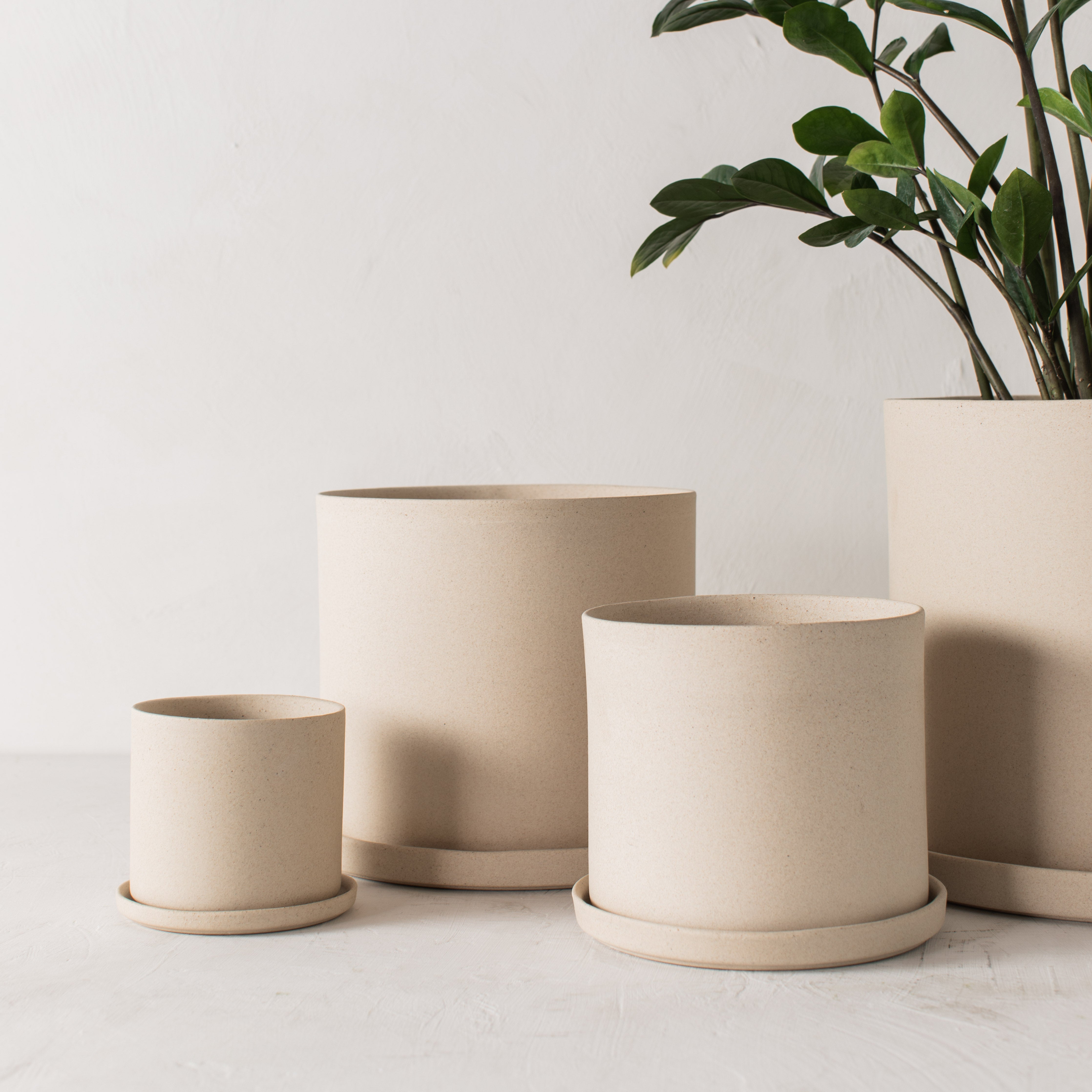 sand pots for plants Sand Stoneware Planter - 4 inch
