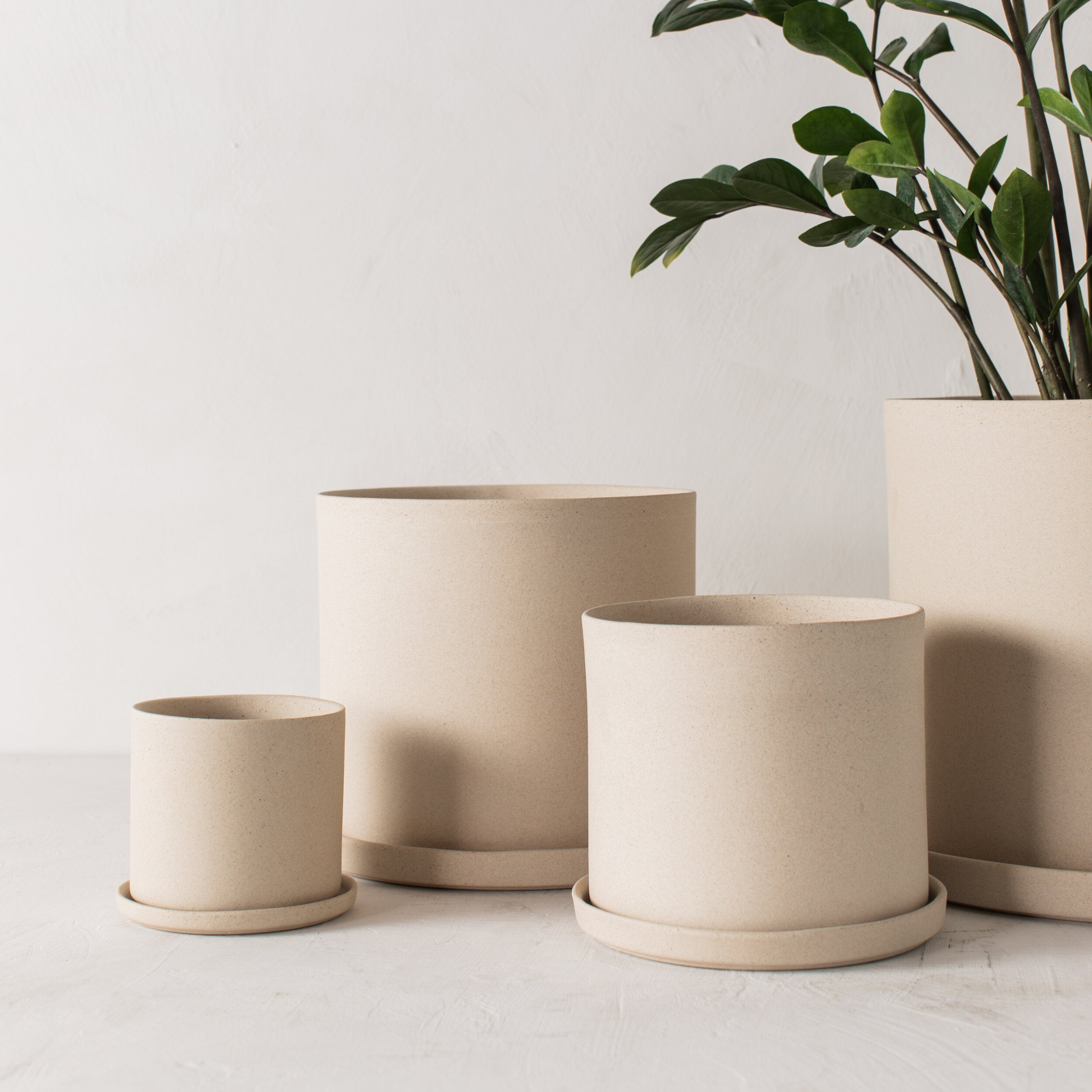 Four stoneware ceramic planters with bottom drainage dishes, 4, 6, 8, and 10 inches. Staged on a white plaster textured tabletop against a plaster textured white wall. Large tall zz plant inside the 10 inch. Designed by Convivial Production, sold by Shop Verdant Kansas City plant store.