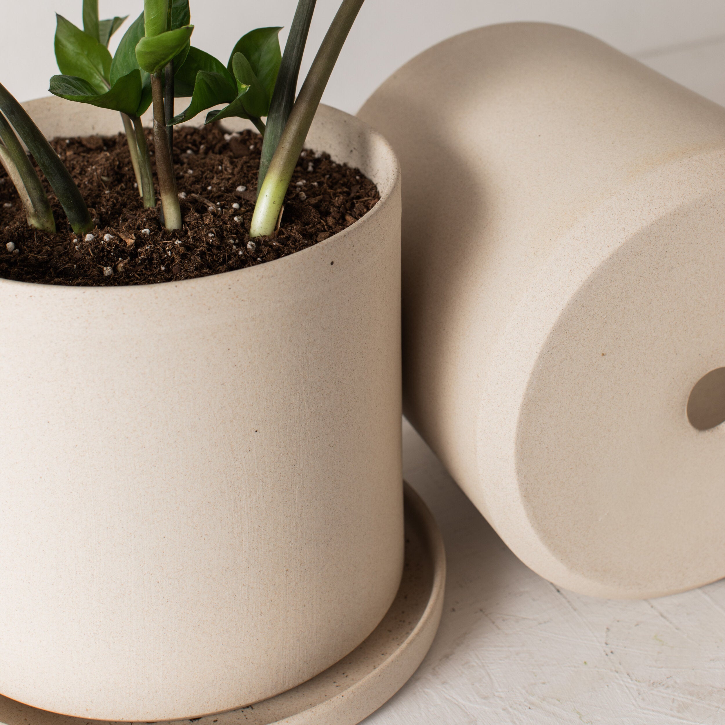 local plant pots Sand Stoneware Planter - 8 Inch