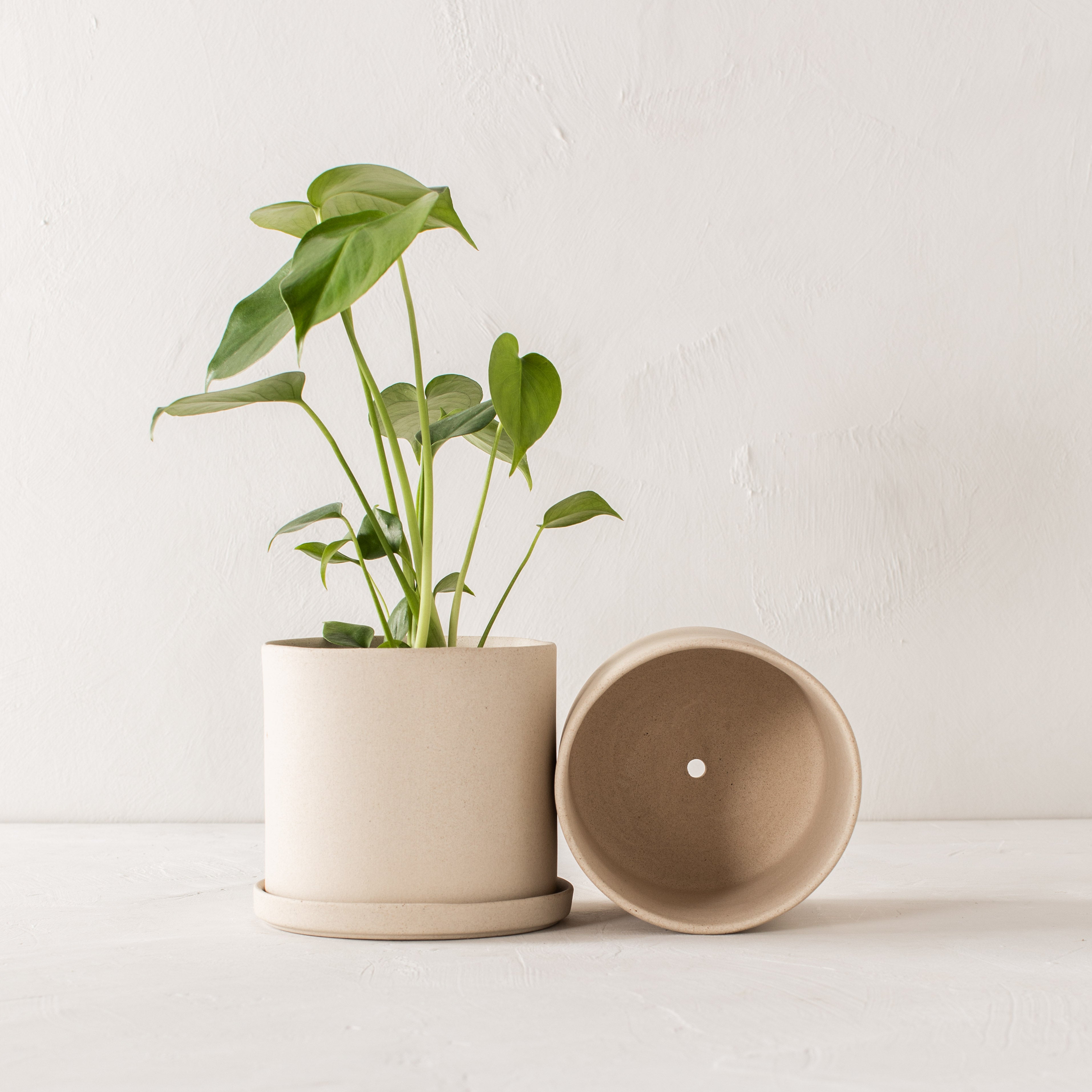 Pair of stoneware planters side by side, one with a drainage dish the other lay on its side shows its drainage hole. Upright planter has a 6 inch monstera inside. Handmade ceramic planters designed by Convivial production sold by Shop Verdant, Kansas City, Mo plant store.